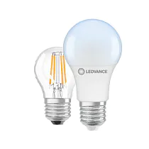 Bombillas LED E27 - 6500K