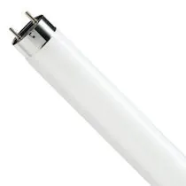 Tubos Fluorescentes T8 (TL-D)