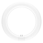 Ledvance Tubo LED T9 Value Circular (EM/Mains) 11W 1320lm - 840 Blanco Frio | Reemplazo 22W