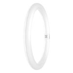 Osram Tubo LED T9 Circular (EM/Mains) 18.3W 2200lm - 865 Luz De Día | Reemplazo 32W