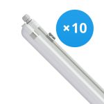 Multipack 10x Philips Pantalla LED Estanca CoreLine WT120C G2 42.9W 6000lm - 840 Blanco Frio | 150cm 