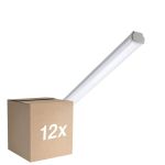 Multipack 12x Philips Pantalla LED Estanca WT060C 30W 3600lm - 865 Luz De Día | 120cm
