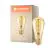Ledvance Vintage 1906 LED E27 Pera Oro 4W 300lm - 820 Luz muy Cálida | Regulable - Reemplazo 25W