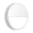 Ledvance Bulkhead Esférica Párpado 250 WT