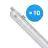 Multipack 10x Philips Pantalla LED Estanca CoreLine WT120C G2 42.9W 6000lm - 840 Blanco Frio | 150cm 