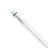 Philips Master Tubo LED T8 (EM/Mains) High Output T8 11.3W 2100lm - 840 Blanco Frio | 120cm - Reemplazo 36W