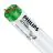Philips MASTER TL-D Actinic BL 18W - Ultravioleta | 60cm