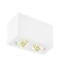 SLV Triledo Doble Luz de techo Aluminium Blanco 14W 1300lm 38D - 830 Luz Cálida