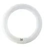 Osram T9 Lumilux Circline 32W - 840 Blanco Frio | 30cm
