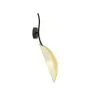 Emibig Luz De Pared Lotus Acero Negro | Apta para 1x E14 - Max 10W