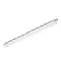 Philips Pantalla LED Estanca CoreLine WT120C G2 28.6W 3700lm - 840 Blanco Frio | 120cm 