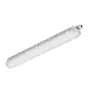 Philips Pantalla LED Estanca CoreLine WT120C 29W 4000lm - 840 Blanco Frio | 120cm 