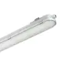 Philips Pantalla LED Estanca CoreLine WT120C G2 61W 8000lm - 840 Blanco Frio | 150cm - Dali Regulable 