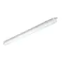 Philips Pantalla LED Estanca CoreLine WT120C 30W 4000lm - 840 Blanco Frio | 120cm - Interact Regulable
