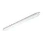 Philips Pantalla LED Estanca CoreLine WT120C 33W 4000lm - 840 Blanco Frio | 120cm - Interact Regulable - Luz De Emergencia 3 Horas