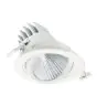 Philips Foco LED LuxSpace Accent Performance RS781B 50W 6000lm 36D - 830 Luz Cálida | 170mm 