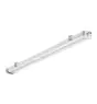 Philips Pantalla LED Estanca Pacific WT490C 62W 10000lm - 840 Blanco Frio | 180cm - Dali Regulable 
