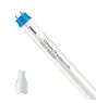 Philips Tubo LED T8 CorePro (EM/Mains) High Output 8W 900lm - 840 Blanco Frio | 60cm - Reemplazo 18W