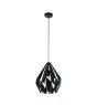 Eglo Colgante De Luz Carlton 1 Acero Negro | IP20 - Apta para 1x E27 