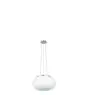 Eglo Colgante De Luz Optica Acero Níquel Satinado | Apta para 2x E27