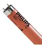 Philips MASTER TL-D 36W - Rojo | 120cm