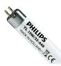 Philips T5 Short 13W - 640 Blanco Frio | 52cm