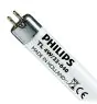 Philips T5 Short 4W - 640 Blanco Frio | 14cm