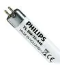 Philips T5 Short 8W - 640 Blanco Frio | 29cm