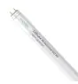 Noxion Tubo LED T8 Avant Extreme (HF) High Output 14W 2100lm - 865 Luz de Día | 120cm - Reemplazo 36W
