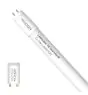 Noxion Tubo LED T8 Avant (EM/Mains) Standard Output 15W 1800lm - 830 Luz Cálida | 120cm - Reemplazo 36W