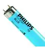 Philips MASTER TL-D 58W - Azul | 150cm