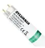 Sylvania Blacklight BL368 T8 Toughcoat 18W - 368 UV
