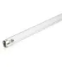 Philips T8 UV - C 25W - Ultravioleta | 44cm