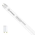 Ledvance Tubo LED T8 Superior (EM/Mains) Standard Output 6.3W 995lm - 830 Luz Cálida | 60cm - Reemplazo 18W