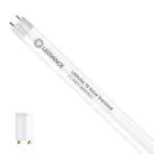 Ledvance Tubo LED T8 Value (EM/Mains) Standard Output 11.6W 1400lm - 865 Luz de Día | 105cm - Reemplazo 38W