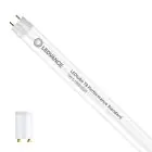 Ledvance Tubo LED T8 Performance (EM/Mains) Standard Output 7W 990lm - 830 Luz Cálida | 60cm - Reemplazo 18W