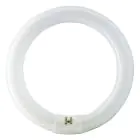 Osram T9 Lumilux Circline 32W - 840 Blanco Frio | 30cm