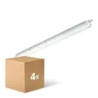 Multipack 4x Philips Pantalla LED Estanca CoreLine WT120C Gen2 25/43W 3700/6000lm - 840 Blanco Frio | 150cm