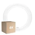 Multipack 4x Ledvance Tubo LED T9 Value Circular (EM/Mains) 11W 1320lm - 840 Blanco Frio | Reemplazo 22W