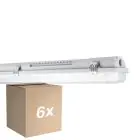 Multipack 6x Ledvance LED Prueba De Vapor Alojamiento MT Gen 3 IP65 | Apta para 2x120cm Tubo LED