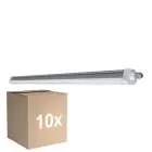Multipack 10x Ledvance Pantalla LED Estanca Prueba De Vapor Compacto 31W 3500lm - 830 Luz Cálida | 150cm