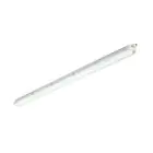Philips Pantalla LED Estanca CoreLine WT120C Gen2 25/43W 3700/6000lm - 840 Blanco Frio | 150cm
