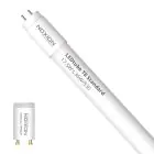Noxion Tubo LED T8 Avant (EM/Mains) Standard Output 15W 1800lm - 830 Luz Cálida | 120cm - Reemplazo 36W