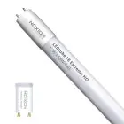 Noxion Tubo LED T8 Avant Extreme (EM/Mains) High Output 16.5W 2650lm - 840 Blanco Frio | 150cm - Reemplazo 58W