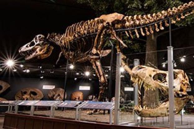 Iluminación LED para museos