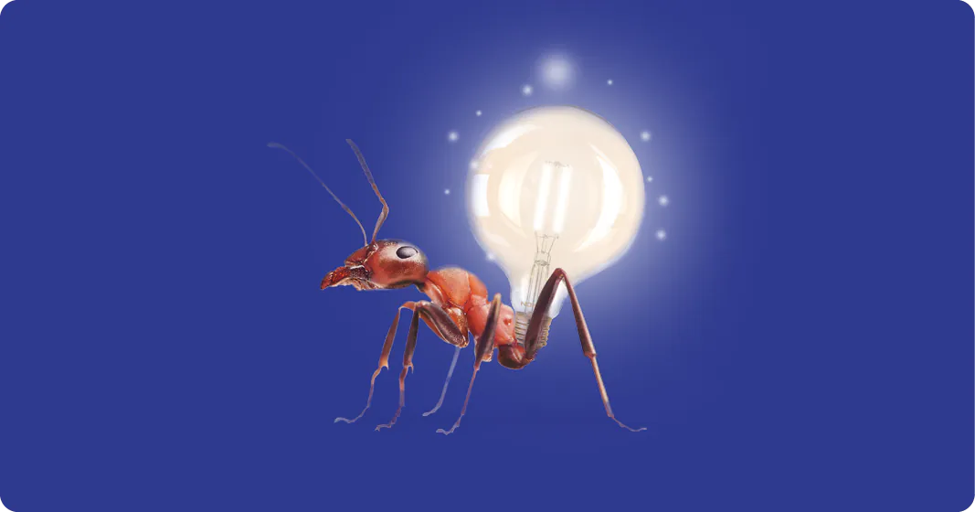 pasa a la iluminaci&oacute;n noxion